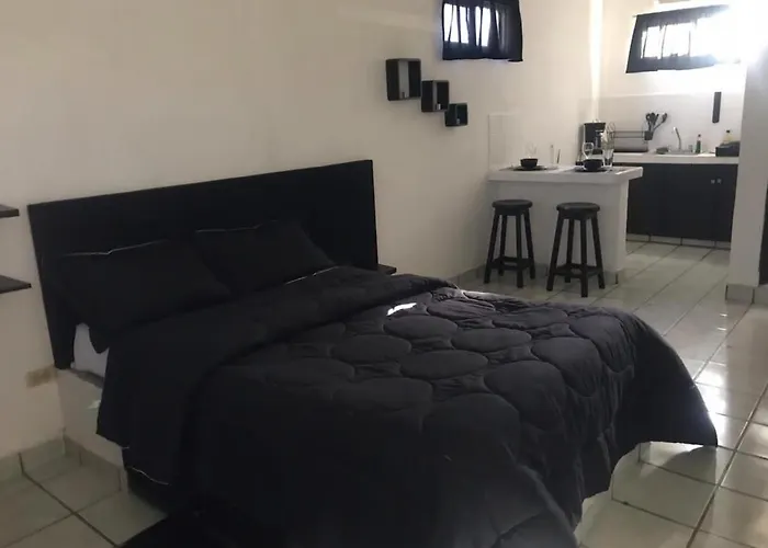 Apartment Cozy Black And White Studio Cabo San Lucas