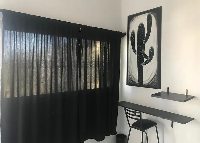 Cozy Black And White Studio Apartment Cabo San Lucas