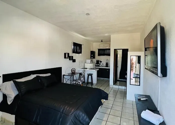 Cozy Black And White Studio Apartment Cabo San Lucas